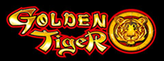 Golden Tiger